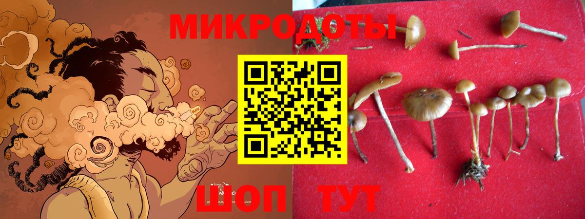 Галлюциногенные грибы мухоморы  Вход с VPN  Галлюциногенные грибы ЛСД  Серов 